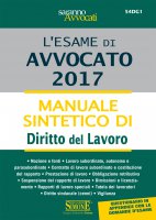 L'esame di Avvocato 2017 - Manuale sintetico di Diritto del Lavoro - Redazioni Edizioni Simone
