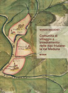 Copertina di 'Comunit di villaggio e insediamento nelle Alpi friulane: la val Meduna'