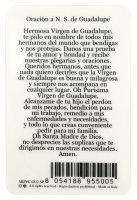 Immagine di 'Card Madonna di Guadalupe in PVC - 5,5 x 8,5 cm - spagnolo'