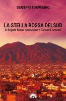 La Stella Rossa del Sud. Le Brigate Rosse napoletane e Giovanni Senzani - Formisano Giuseppe
