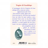 Immagine di 'Card "Vergine di Guadalupe" con preghiera e medaglia - (10 pezzi)'