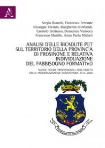 Copertina di 'Analisi delle ricadute PET sul territorio della provincia di Frosinone e relativa individuazione del fabbisogno formativo. Nuove figure professionali nell'ambito della programmazione comunitaria 2014-2020'