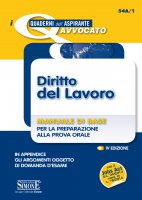 I Quaderni dellAspirante Avvocato - Diritto del Lavoro - Redazioni Edizioni Simone