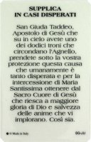 Immagine di 'Card San Giuda Taddeo della guarigione in PVC con preghiera e medaglia - 5,5 x 8,5 cm - italiano'