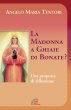 La Madonna a Ghiaie di Bonate? Una proposta di riflessione - Angelo Maria Tentori