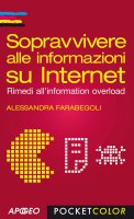 Sopravvivere alle informazioni su Internet - Alessandra Farabegoli