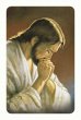 Card pvc con preghiera "Cristo Orante" - Carlo Parisi