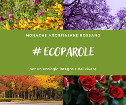 Copertina di 'Ecoparole. per un'ecologia integrale del vivere'