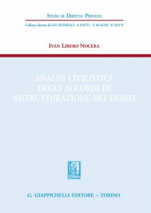 Copertina di 'Analisi civilistica degli accordi di ristrutturazione dei debiti'