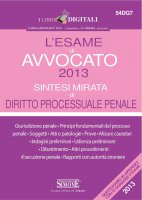 L'esame di Avvocato 2013 sintesi mirata di Diritto Processuale Penale - Redazioni Edizioni Simone