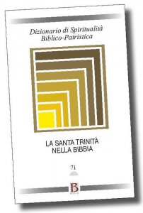 Copertina di 'Dizionario di spiritualità biblico-patristica vol.71'