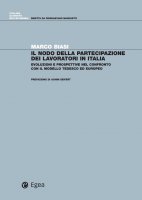 Il nodo della partecipazione dei lavoratori in Italia - Marco Biasi