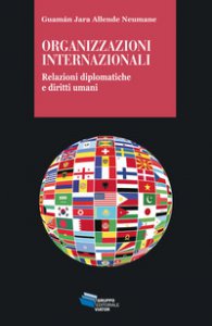 Copertina di 'Organizzazioni internazionali. Relazioni diplomatiche e diritti umani'