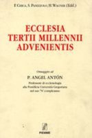 Ecclesia tertii millenni advenientis - Sandro Panizzolo