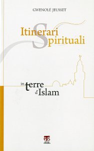 Copertina di 'Itinerari spirituali in terre d'Islam'
