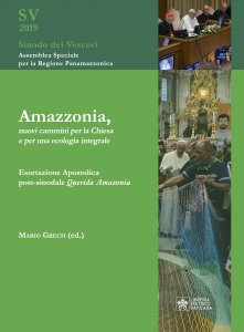 Copertina di 'Amazzonia, nuovi cammini per la Chiesa e per una ecologia integrale'