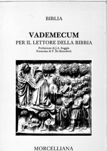 Copertina di 'Vademecum per il lettore della Bibbia'