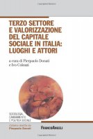 Terzo settore e valorizzazione del capitale sociale in italia: luoghi e attori. Con CD-ROM