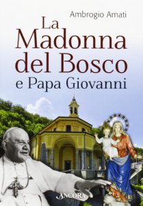 Copertina di 'La Madonna del bosco e papa Giovanni'