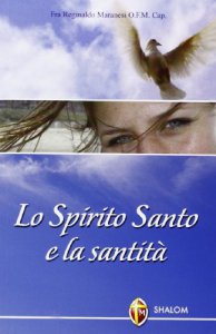 Copertina di 'Lo Spirito Santo e la santità'