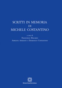 Copertina di 'Scritti in memoria di Michele Costantino'