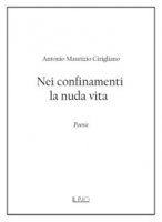 Nei confinamenti la nuda vita - Cirigliano Antonio Maurizio