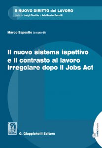 Copertina di 'Il nuovo sistema ispettivo e il contrasto al lavoro irregolare dopo il Jobs Act'