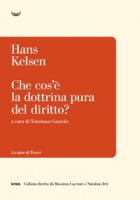 Che cos'è la dottrina pura del diritto - Kelsen Hans