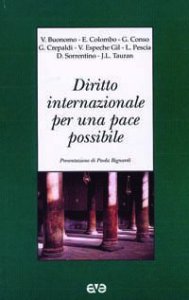 Copertina di 'Diritto internazionale per una pace possibile'