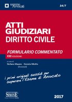 Atti Giudiziari di Diritto Civile - Stefano Mazzeo, Ernesto Micillo