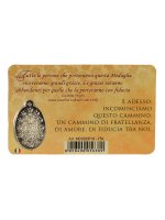Immagine di 'Card medaglia Papa Francesco (10 pezzi)'