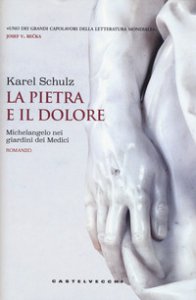 Copertina di 'La pietra e il dolore. Michelangelo nei giardini dei Medici'