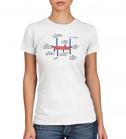 Copertina di 'T-shirt 10 comandamenti - Taglia S - DONNA'
