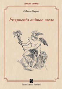 Copertina di 'Fragmenta animae meae. Ediz. illustrata'