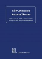 Liber Amicorum in onore di Antonio Tizzano - Roberto Adam, Vincenzo Cannizzaro, Massimo Condinanzi