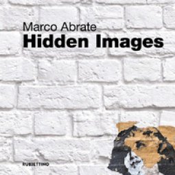 Copertina di 'Hidden images'
