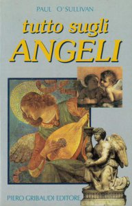 Copertina di 'Tutto sugli angeli'
