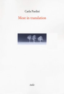Copertina di 'Most in translation'