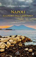 Napoli - Domenico Battaglia