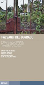 Copertina di 'Paesaggi del degrado. Indagini ed esperienze in Friuli Venezia Giulia tra rischi e degradi'