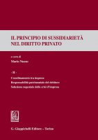 Il principio di sussidiariet nel diritto privato - Mario Nuzzo, Raffaella Rametta, Mirzia Bianca