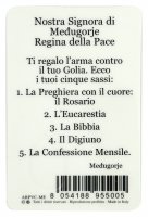 Immagine di 'Card Madonna di Megjugorje in PVC - 5,5 x 8,5 cm - italiano'