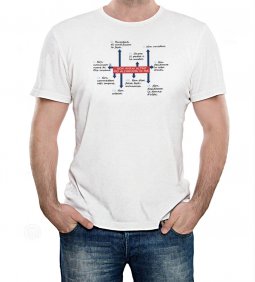 Copertina di 'T-shirt 10 comandamenti - Taglia S - UOMO'