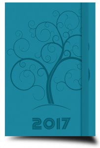 Copertina di 'Agenda planning 2017 turchese'