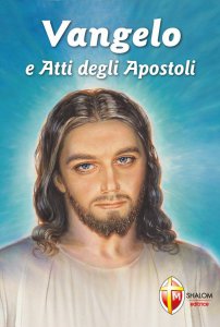 Copertina di 'Vangelo e atti degli apostoli'