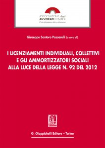 Copertina di 'I licenziamenti individuali, collettivi e gli ammortizzatori sociali alla luce della legge n. 92 del 2012'