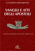 Il Nuovo testamento. Vangeli e atti degli apostoli - Giuliano Vigini