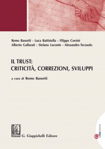 Copertina di 'Il Trust: criticit, correzioni, sviluppi'