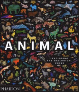 Copertina di 'Animal. Exploring the zoological world. Ediz. a colori'