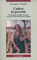 Cadere in povertà. Le situazioni a rischio, i processi, i terreni di coltura dell'impoverimento - Giuseppe A. Micheli